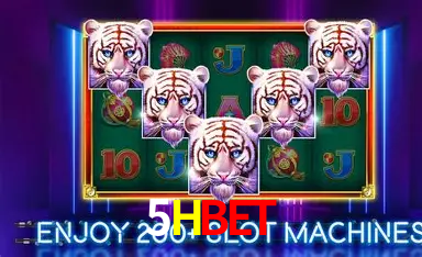 5HBET,5HBET.COM